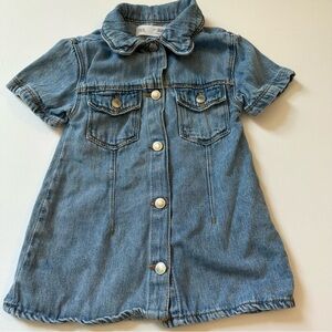 Zara Denim Button Up Dress
